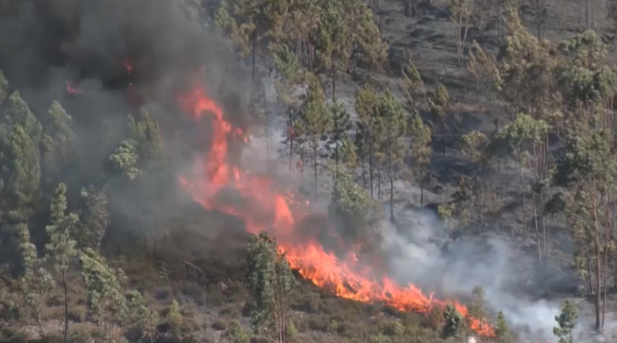 Северные регионы Португалии охватили пожары