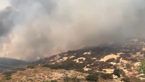 Тысячи жителей Калифорнии эвакуируют из-за пожаров