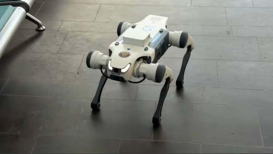 Полицияға робот-ит көмекке келді