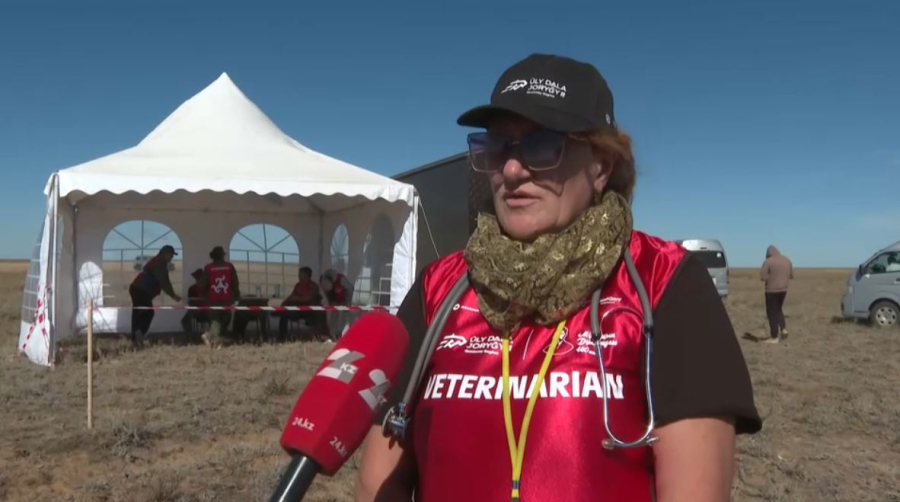 Конный марафон в Костанайской области: выбыла более половины лошадей