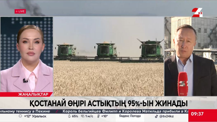 Қостанай өңірі астықтың 95%-ын жинады. LIVE