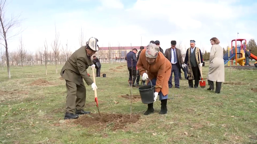 Түлкібастағы орталық саябаққа бір мың түп емен ағашы отырғызылды