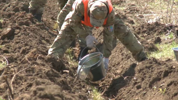 Сгоревший лес восстанавливают в Караганде