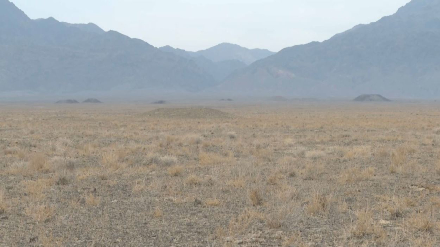 Жетісу облысында петроглифтер кешені табылды