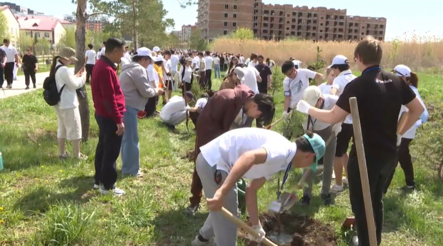 ВКО активно озеленяют