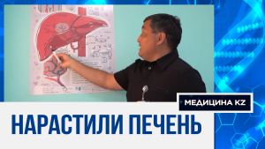 Казахстанские хирурги нарастили пациенту печень с помощью инновационных методов