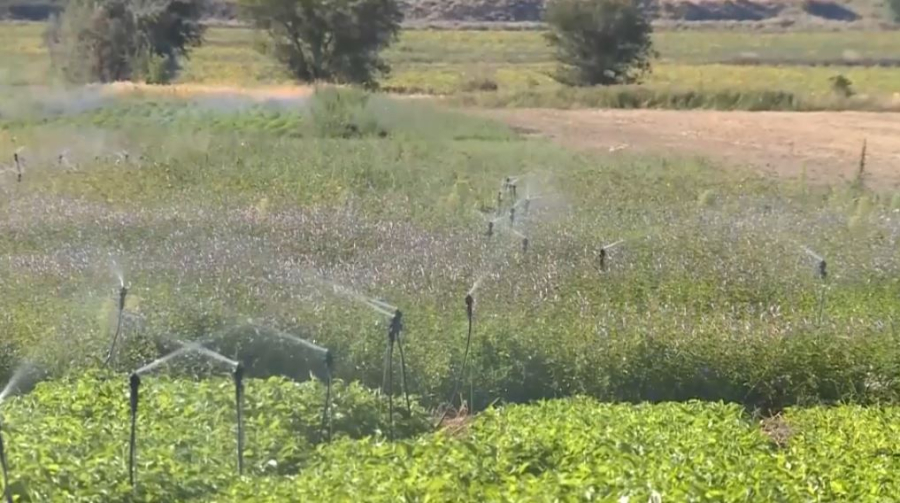 Елде су үнемдеу көрсеткіші екі есе артады