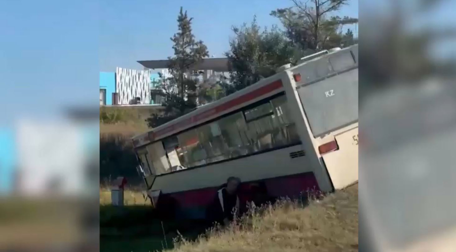 Автобус жол жиегіне шығып кетіп, 14 адам ауруханаға жеткізілді