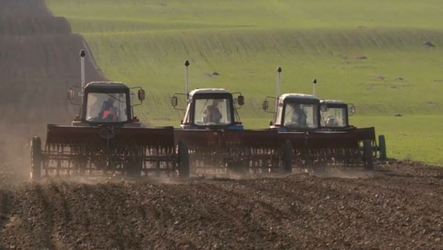 Посевные площади сократили на 2 тысячи гектаров в Шымкенте