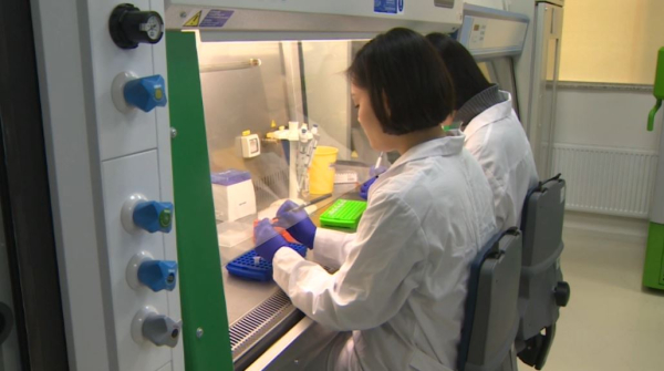 МЦРИАП: эффективность бизнес-процессов в научной сфере увеличилась на 70%