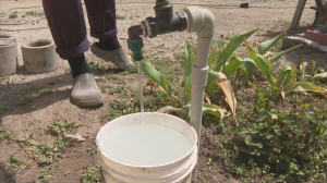 Дефицит воды испытывают жители дачных массивов Талгарского района