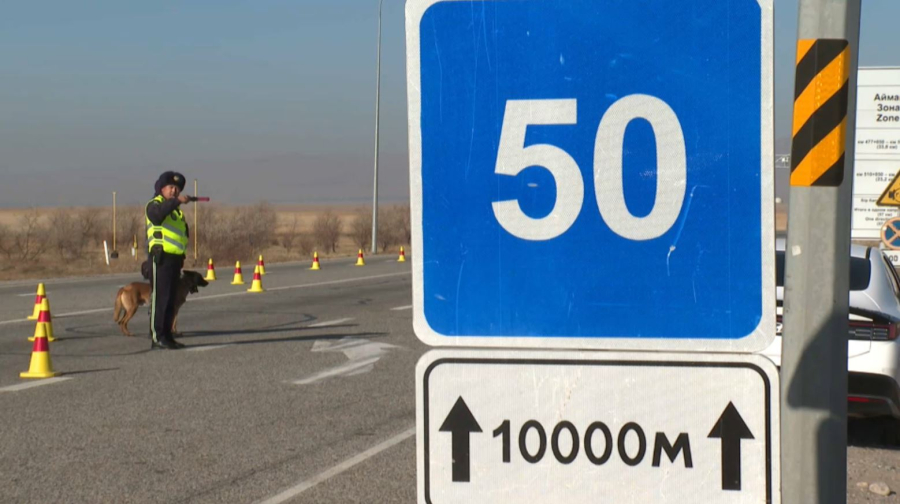 Жамбыл облысында жол апатынан болатын өлім-жітім азайды