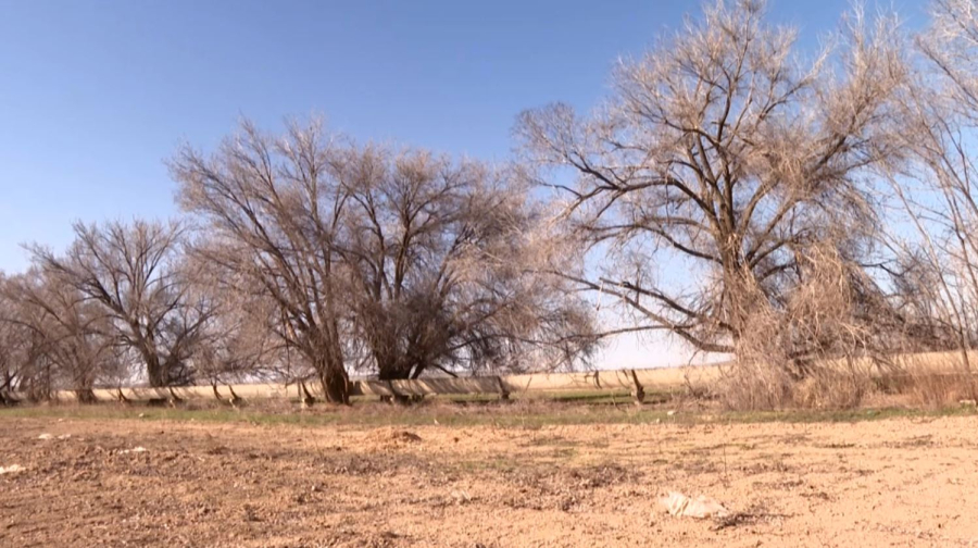 552 км оросительных сетей обновят в Алматинской области