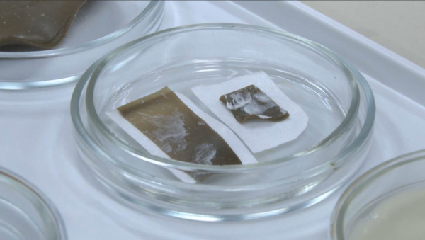 Алматылық ғалымдар нанопластырь жасап шығарды