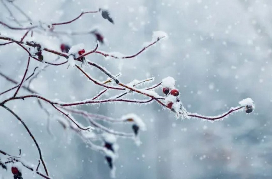 Штормовое предупреждение объявлено на большей части Казахстана