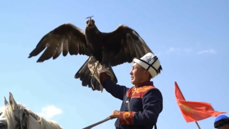 Фестиваль ловчих птиц прошел в Кыргызстане