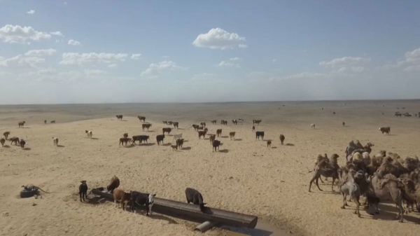 «Ауыл аманаты»: Атырау облысында 89 жоба қаржыландырылады