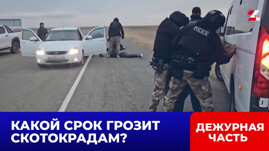 Фермер оказался организатором краж скота в ЗКО