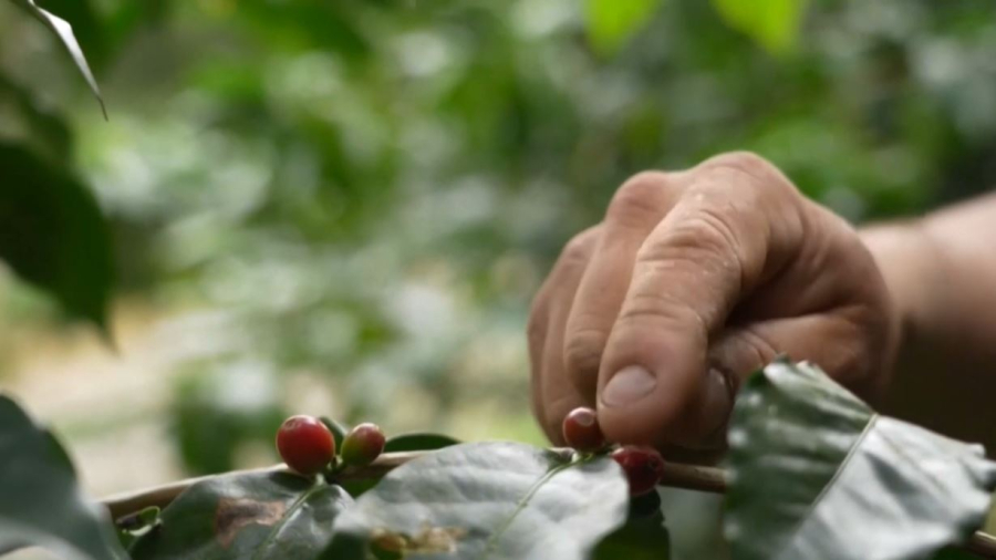 Трамп 200-ден аса тауарға тарифті азайтты