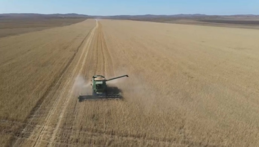 Уборочную кампанию завершили в Улытау