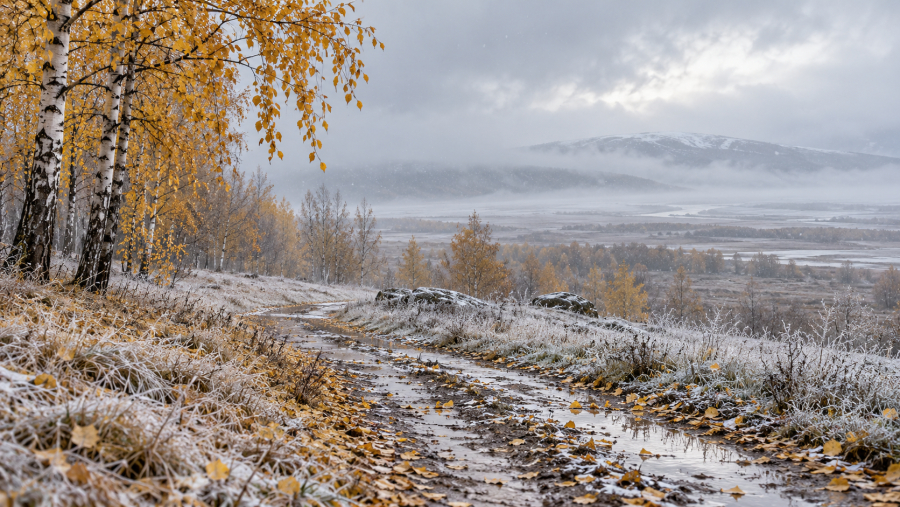 Заморозки до - 8 °C, снег и туманы: погода в Казахстане на 28 октября