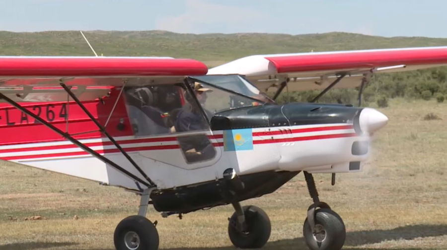 Қарағанды облысында шегірткеге қарсы күрес күшейтілді