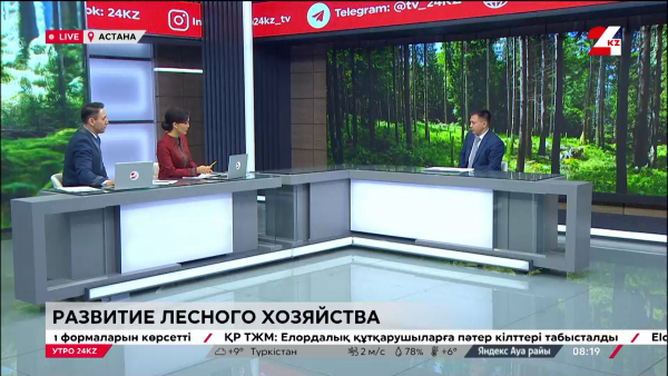 О развитии лесного хозяйства в Казахстане