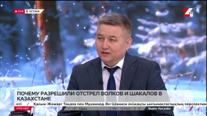 Почему разрешили отстрел волков и шакалов в Казахстане. Ринат Есмагулов