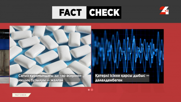 Сағыздың әсерінен мидың бұзылуы: бұл ақпарат шындыққа жанаса ма?