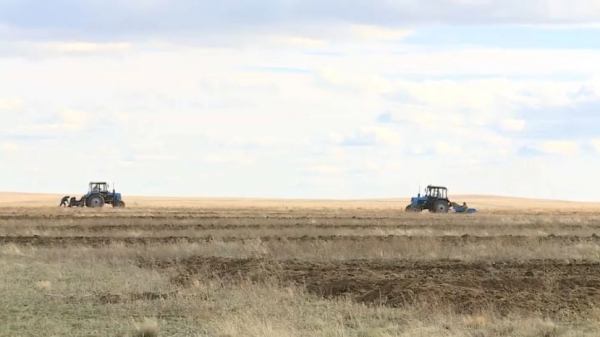 Жамбыл облысында диқандар субсидияға қол жеткізе алмай отыр