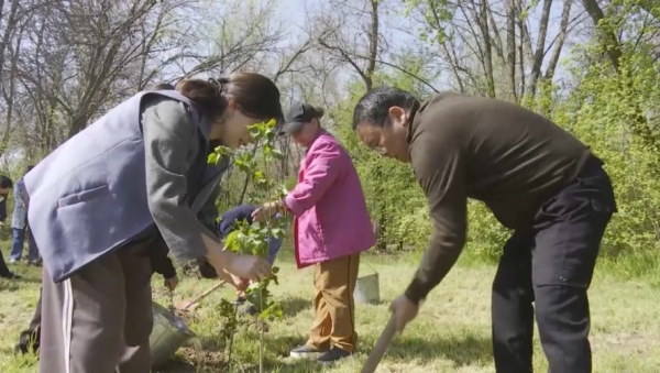 Шымкент озеленяют в рамках акции «Таза Қазақстан»