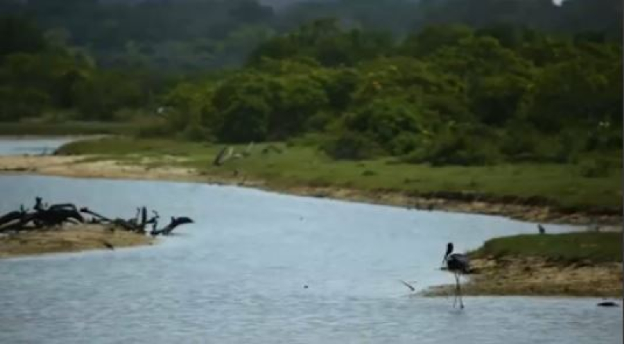 Еділ өзені тартылып барады