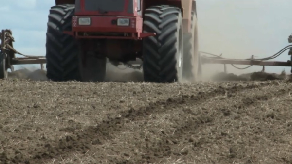 Аграрии ждут льготные кредиты на посевную