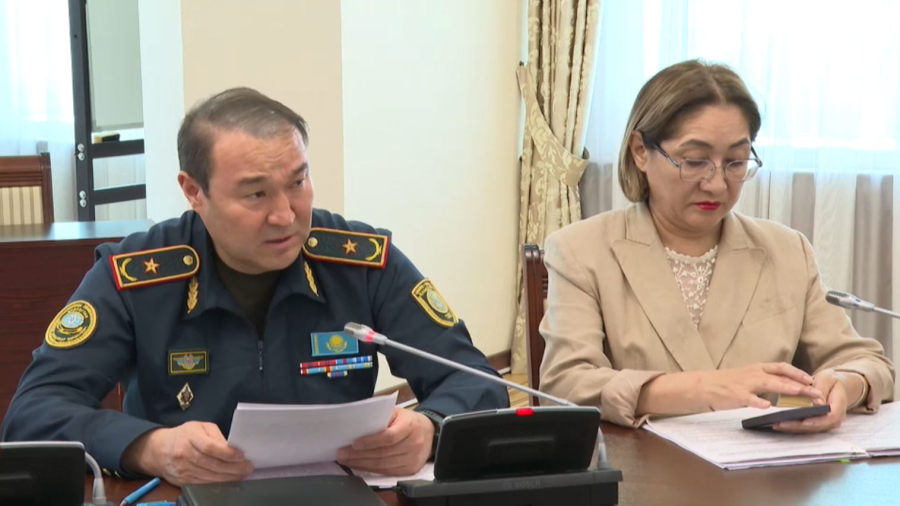 Үкімет балалардың жазғы демалыстағы қауіпсіздігінің мәселелерін қарады