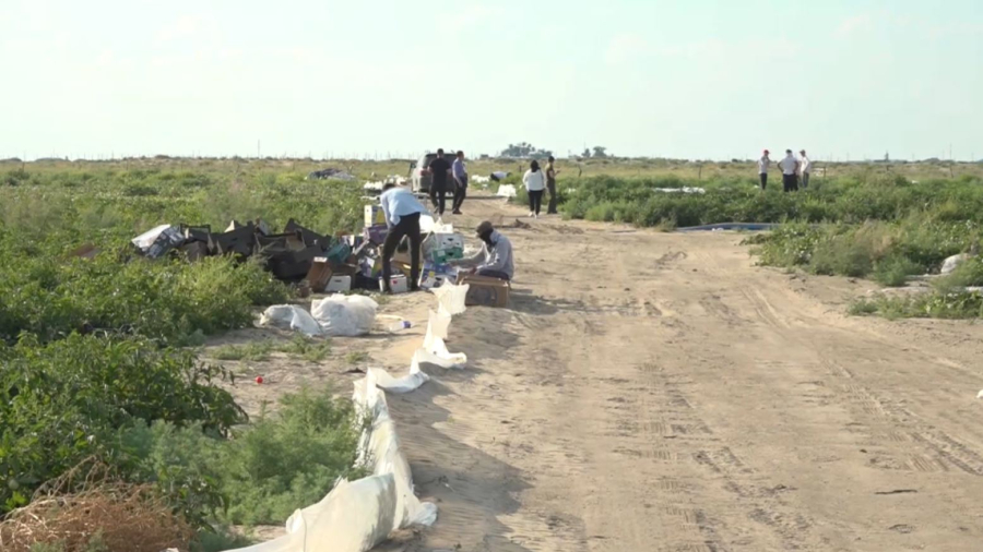 Уборочная кампания стартовала в Атырауской области