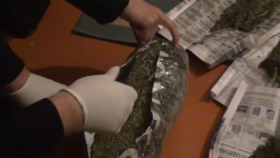 26 тонн наркотиков изъяли в Казахстане с начала года