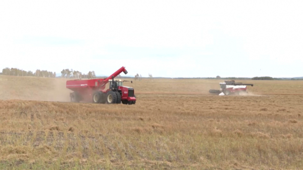 Элеваторлардың астық қабылдауға дайындығы пысықталды