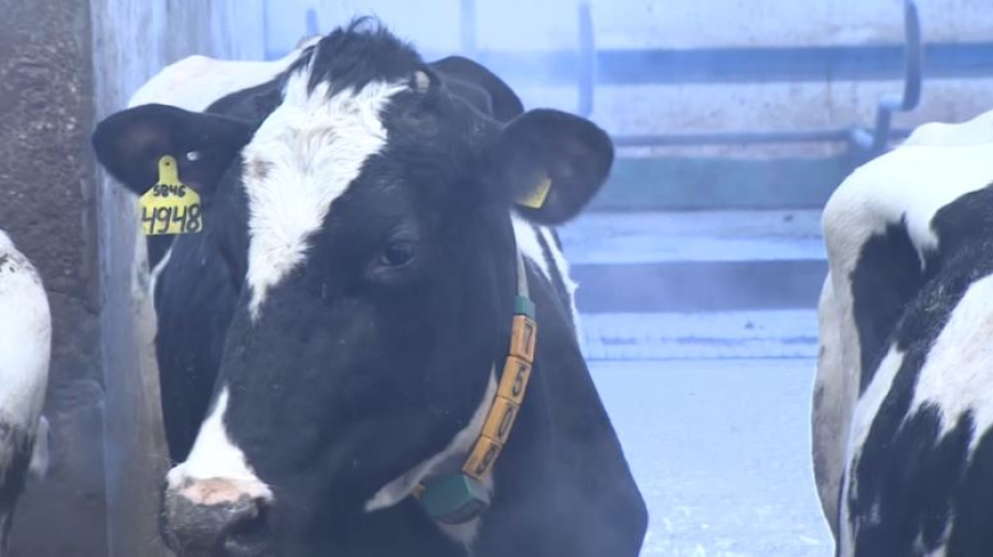 Сельскохозяйственная перепись стартует в Казахстане с 1 августа