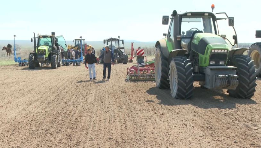 Посев сахарной свеклы начался в области Жетісу