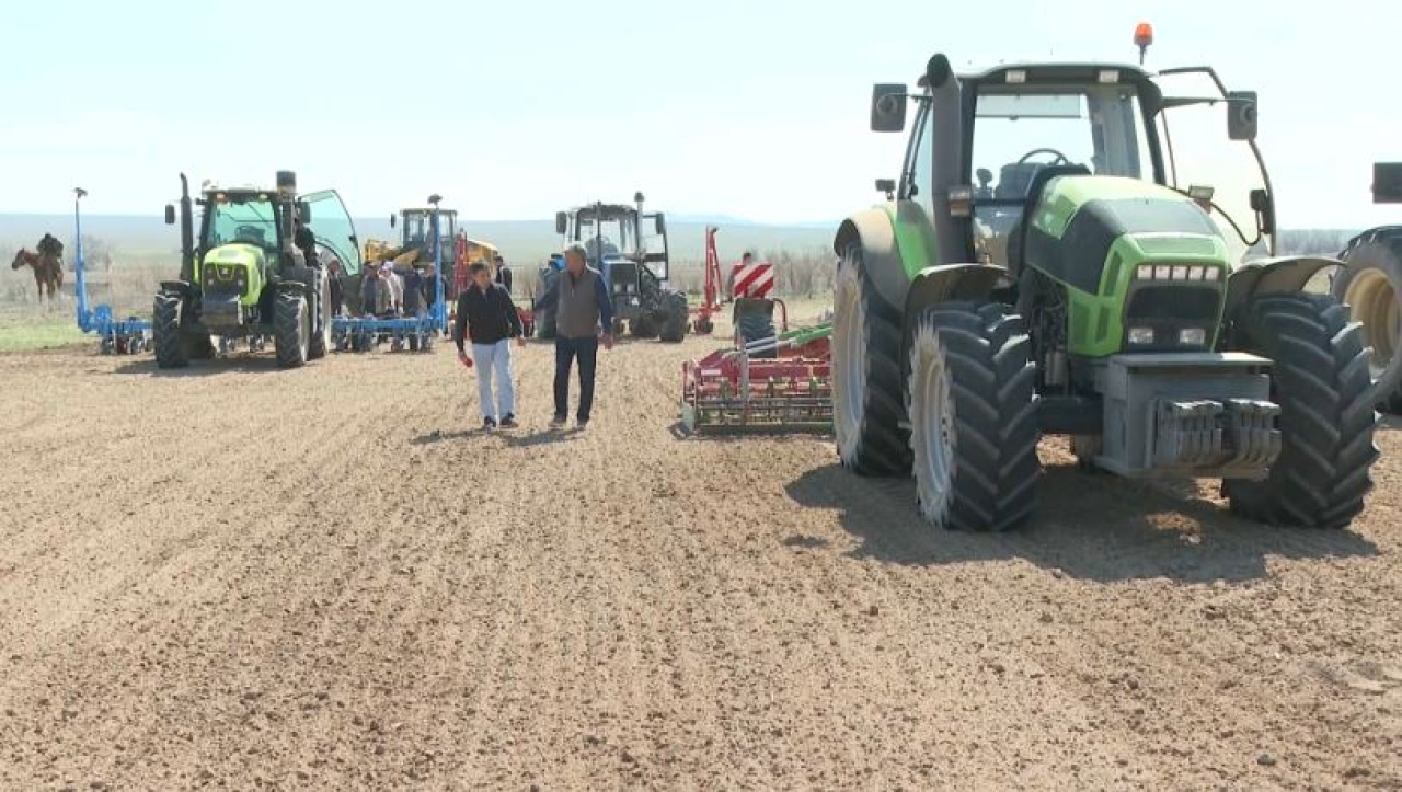 Посев сахарной свеклы начался в области Жетісу