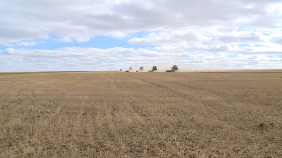 Казахстан наращивает экспорт зерна