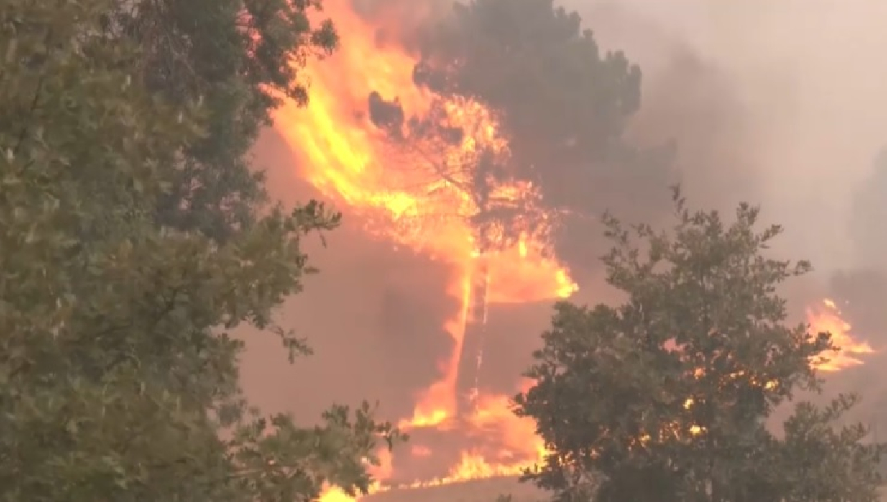 Уже неделю продолжается борьба с пожарами в Португалии
