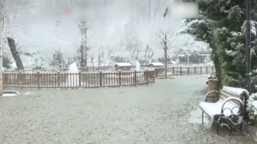 Рекордные заморозки и снег в Турции: фермеры подсчитывают убытки