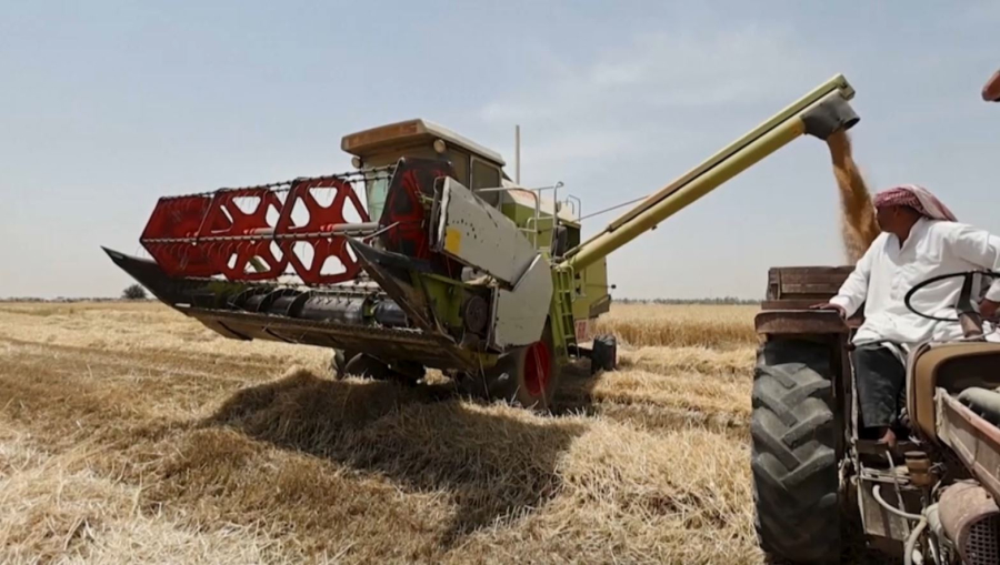БҰҰ: әлемде ауыл шаруашылығы өнімдерінің 40 пайызы жойылады