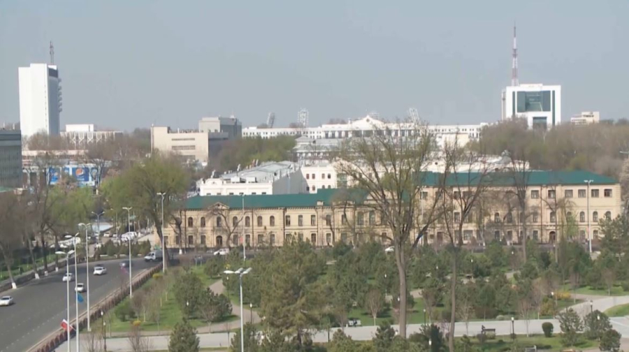 Өзбекстанда бала туу жәрдемақысының мөлшері қысқарды