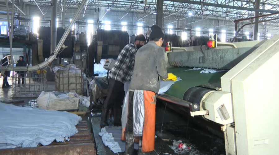 Тері мен жүн өңдеу саласына 5 млрд теңге көлемінде инвестиция бөлінеді