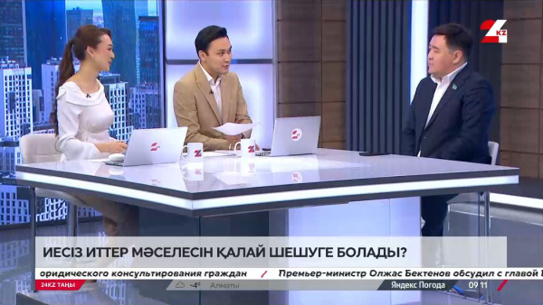 Иесіз иттер мәселесін қалай шешуге болады?