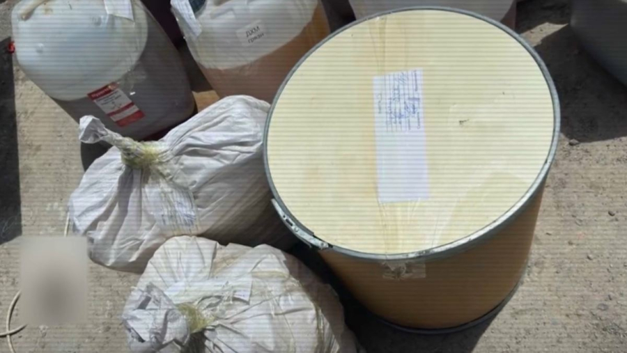 Алматы облысында 11 келі есірткі тәркіленді