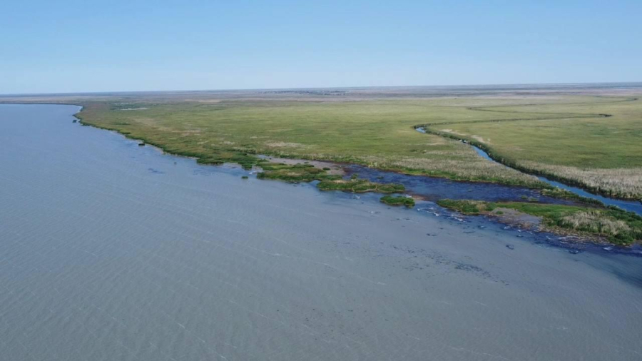 На 12 см вырос уровень воды в озере Балхаш