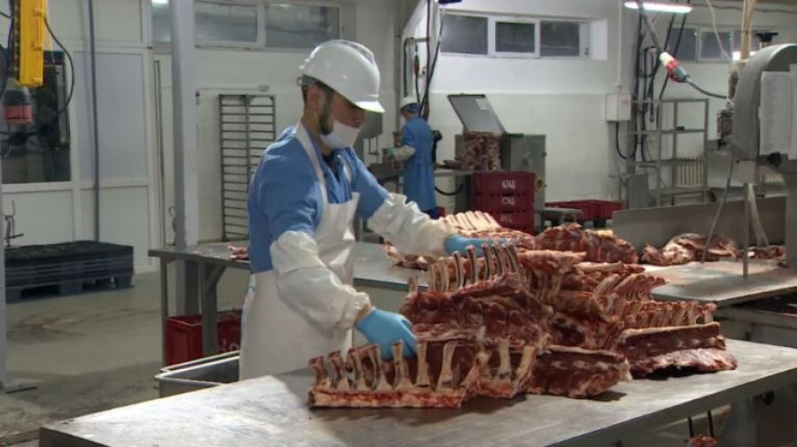 Квоты на экспорт говядины вводят в Казахстане